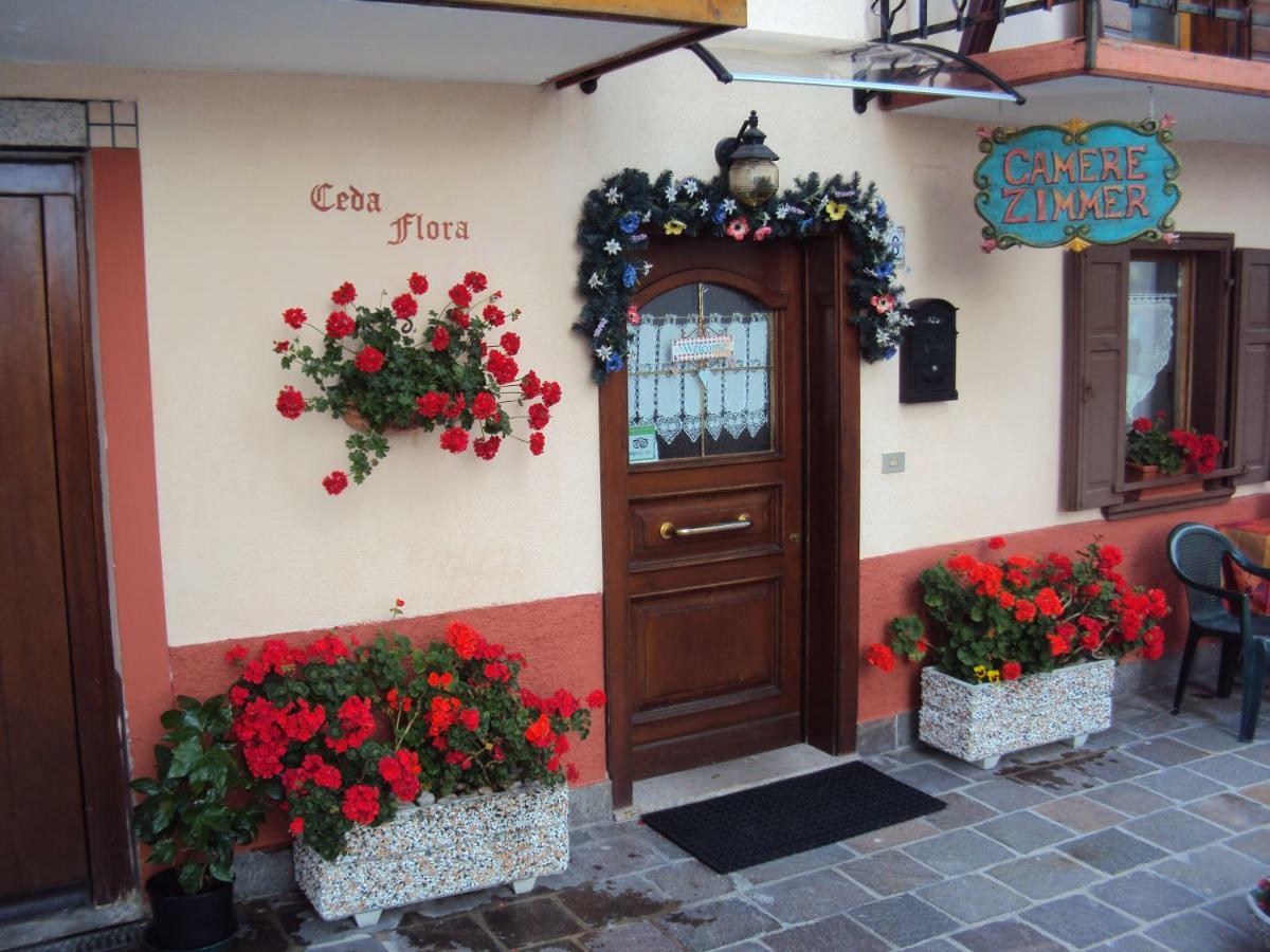 La Casa Di Beppe Appartamento E Camere Danta Εξωτερικό φωτογραφία